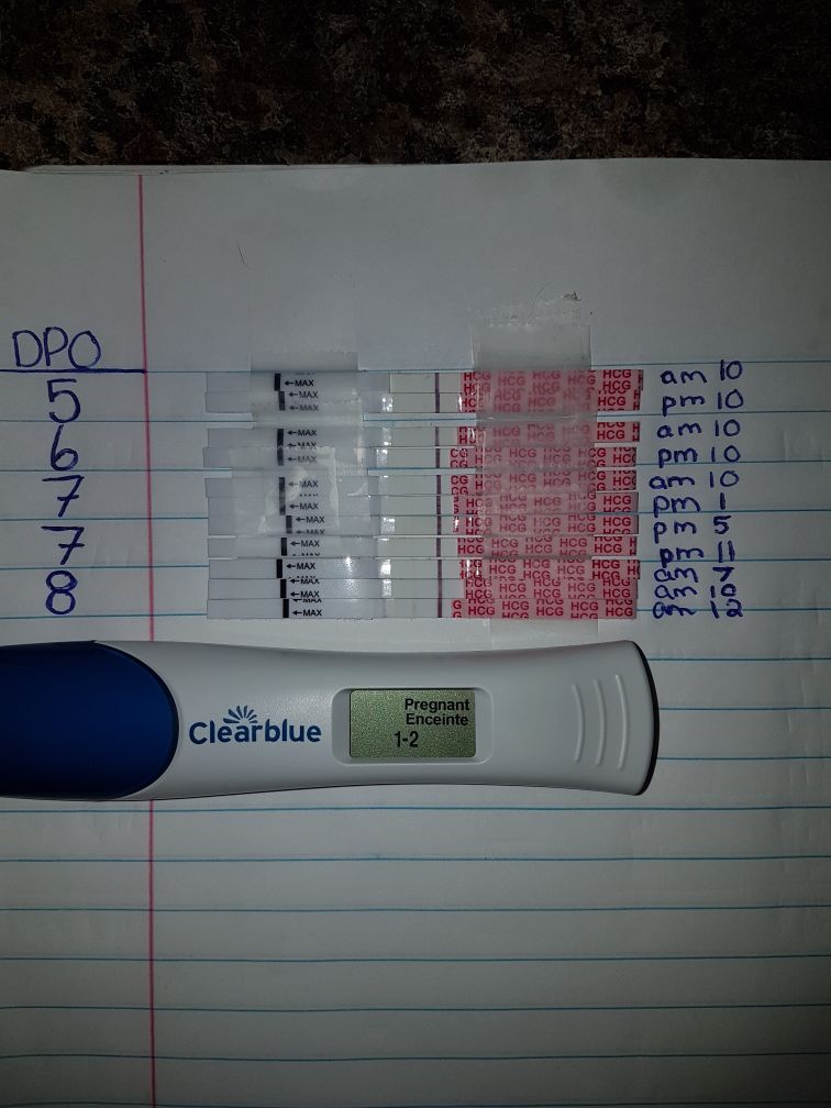 Got 2 Bfn Two Days Ago The First Day Af Was Due I Took Both I Decided To Test Again This Morning Since I Missed My Period By 2 Days Now Its A Got 2 Bfn Two Days Ago The First Day Af Was Due I Took Both I Decided To Test Again This Morning Since I Missed My Period By 2 Days Now Its A