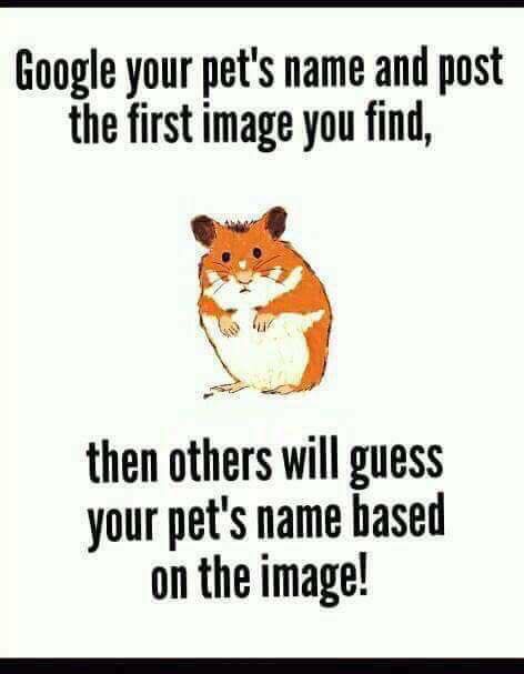 Google Your Pet S Name Glow Community Google Your Pet S Name