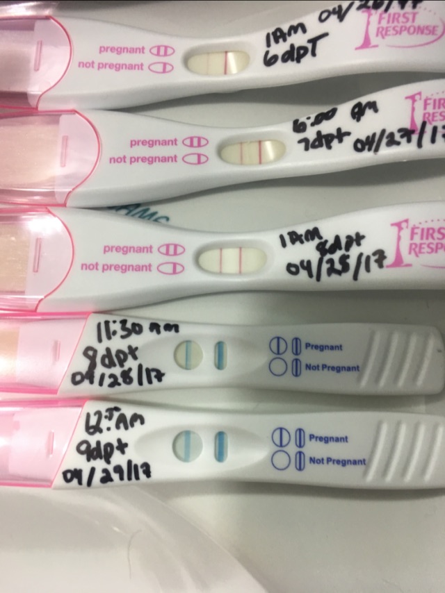 IVF 9 Days Past 5 Day Transfer Glow Community ivf-9-days-past-5-day-transfer-glow-community