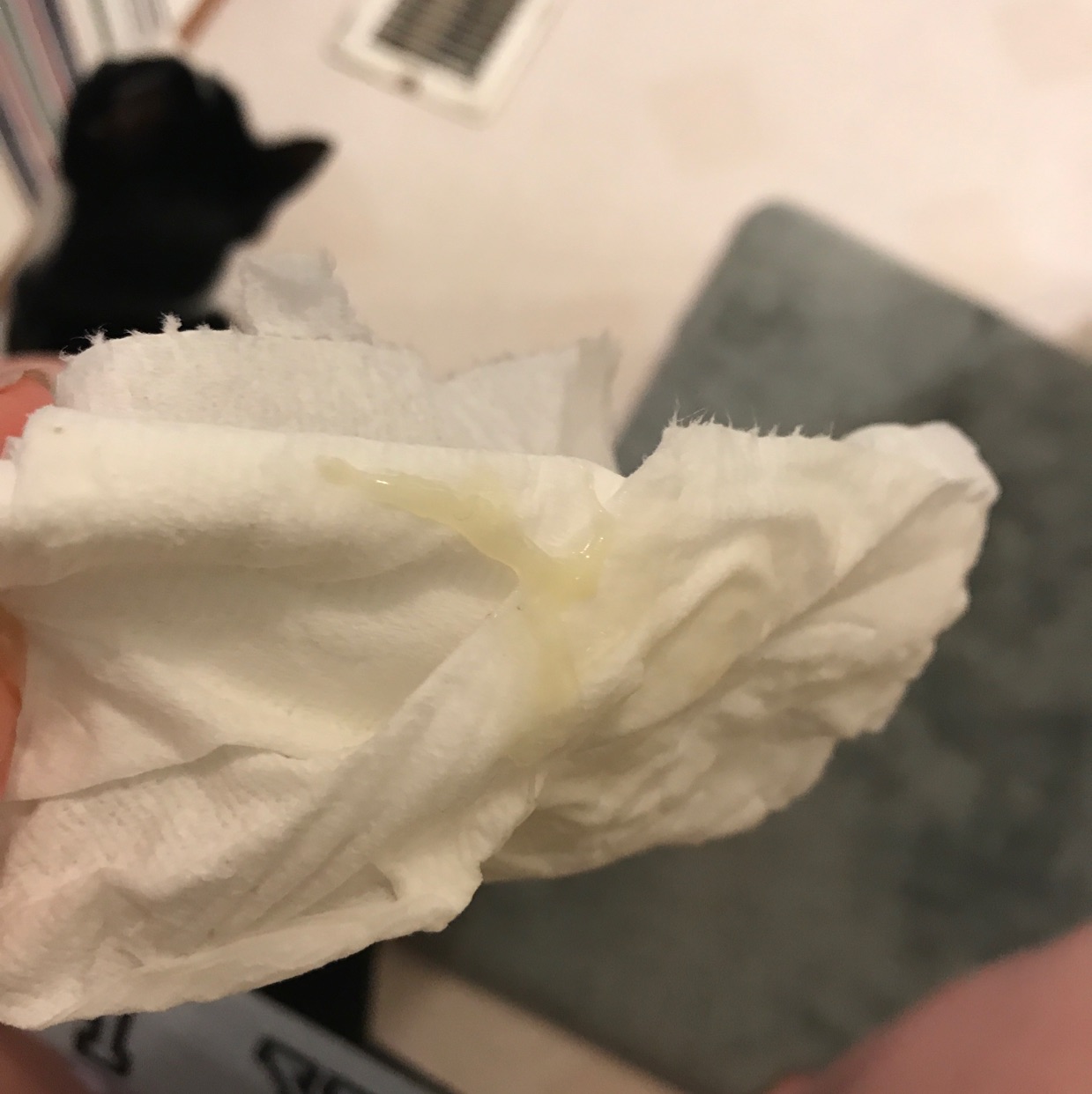 Mucus plug or just regular discharge? I haven't had anything this