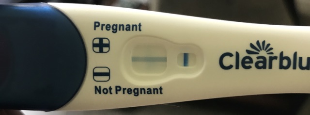 Pregnancy Test Tumblr Pregnancy Test Tumblr