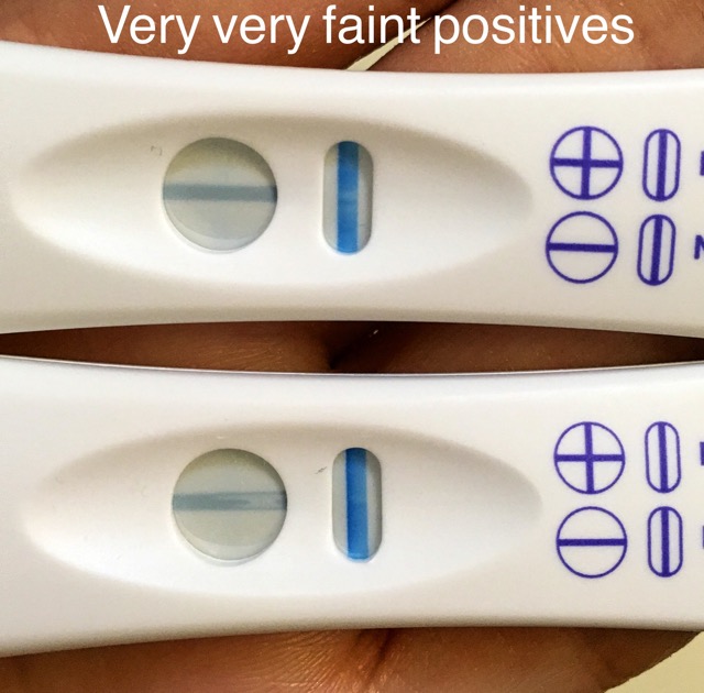 Blue Dye Evap/Neg/Faint positive Glow Community