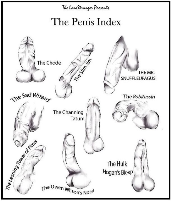 dick types