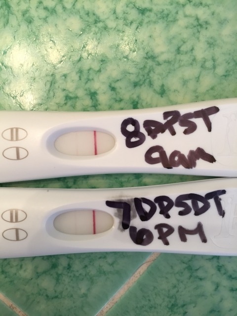 For Those Of You Not Familiar With Acronyms I Am 8dp5dt 8 Days Past 5 Day Embryo Transfer Or 13dpo The Lines Seem So Faint For Those Of You Not Familiar With Acronyms I Am 8dp5dt 8 Days Past 5 Day Embryo Transfer Or 13dpo The Lines Seem So Faint