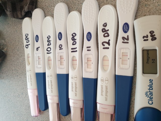Is It Safe To Say I m Pregnant Yet Glow Community