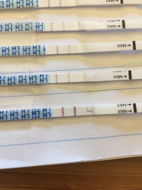 How Long After Positive Ovu Test Do I Ovulate Glow Community