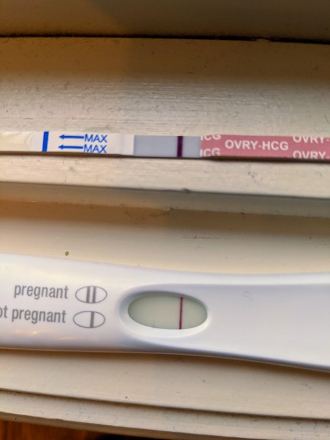 Very Faint Positive FRER But Negative OVRY Glow Community