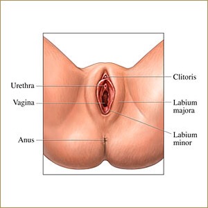 scratches from sex Asian american pacific islanders