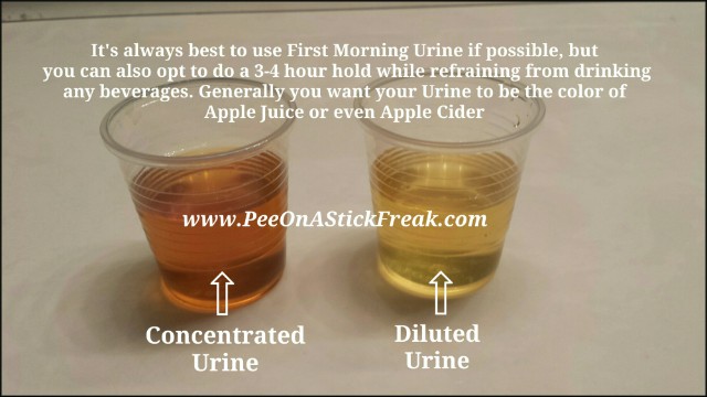 Concentrated Urine Vs Diluted Glow Community