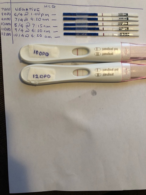 Hcg Line Progression Glow Community