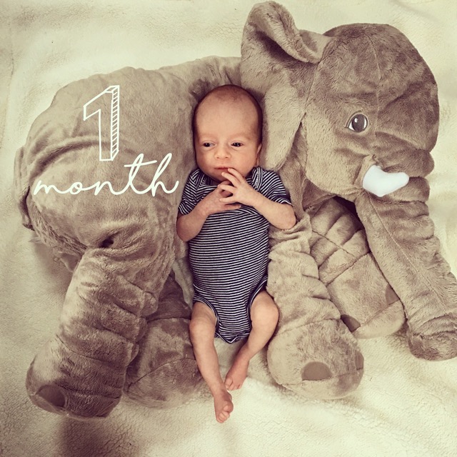 1 month old preemie