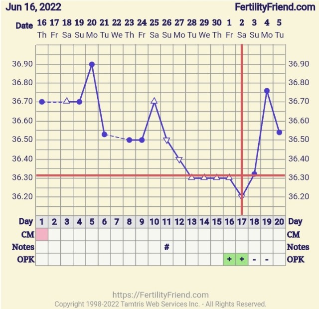 Fallback Rise has anyone experienced this and gone on to get BFP. BD