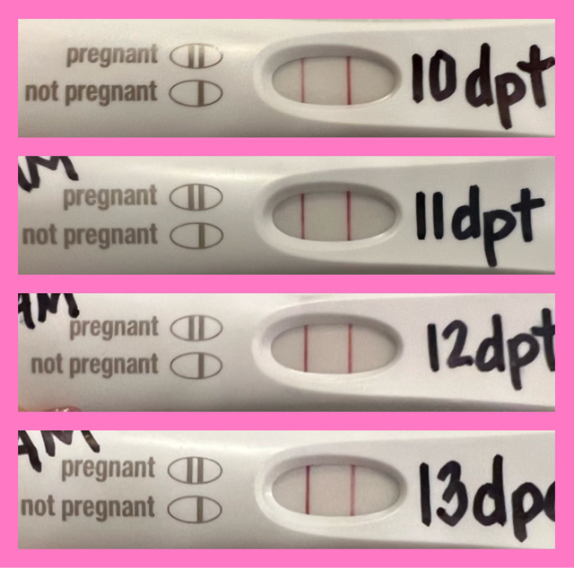 Line progression pics post IVF transfer…my dye stealer has arrived!! 🥳🎉