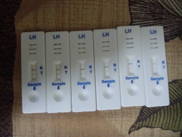 Ovulation Help My Date Is Come Next Date Is Cycle Calendar Snake Stay 