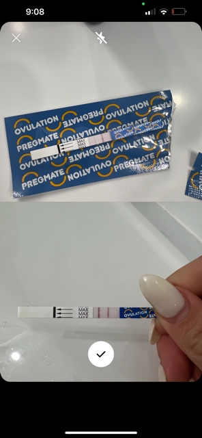 9am vs 9pm Is this my surge? Will ovulation happen tomorrow? - Glow ...